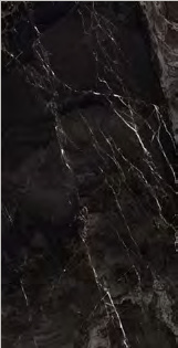 Magnifico GCO09 Elegance Black 60x120